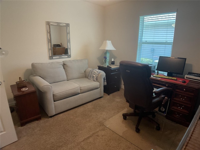 25228 E Lenox Cir, Punta Gorda, FL 33950 - office area featuring carpet