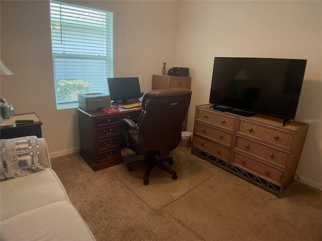 25228 E Lenox Cir, Punta Gorda, FL 33950 - home office with light carpet and baseboards