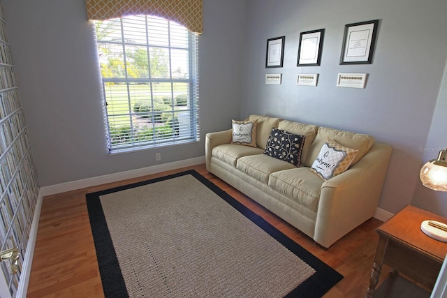 260 Rotonda Blvd E, Rotonda West, FL 33947 - living area with plenty of natural light and wood finished floors