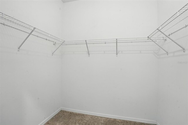 10006 Via Loop, San Marco Loop, Fort Myers, FL 33905 - photo 25