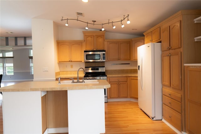 10724 SW Park Ave, Arcadia, FL 34269 - kitchen with appliances with stainless steel finishes, light wood-style flooring, an island with sink, and track lighting