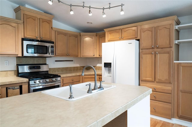 10724 SW Park Ave, Arcadia, FL 34269 - kitchen with appliances with stainless steel finishes, light countertops, light wood-style flooring, lofted ceiling, and open shelves