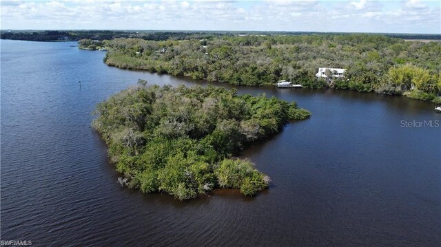 Island, Alva, FL 33920 - photo 12