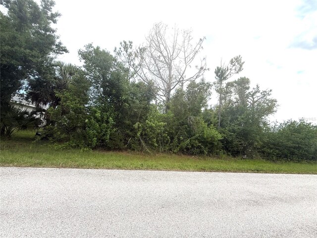 6165 Blackberry St, Englewood, FL 34224 - photo 1