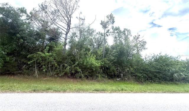 6165 Blackberry St, Englewood, FL 34224 - photo 2