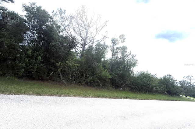 6165 Blackberry St, Englewood, FL 34224 - photo 4