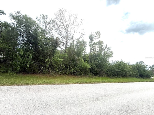 6165 Blackberry St, Englewood, FL 34224 - photo 5
