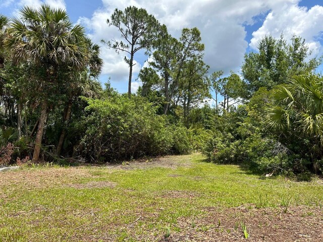 6594 Buckboard St, North Port, FL 34291 - photo 52
