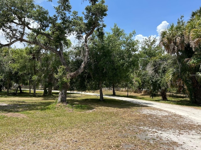 6594 Buckboard St, North Port, FL 34291 - photo 54