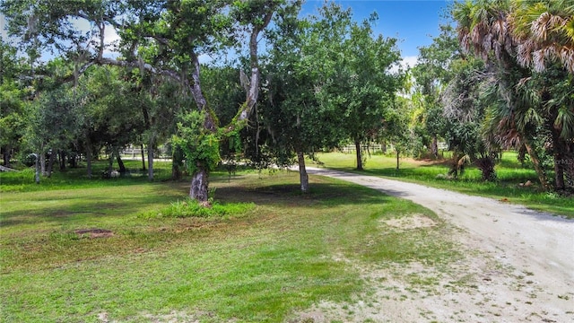 6594 Buckboard St, North Port, FL 34291 - photo 58