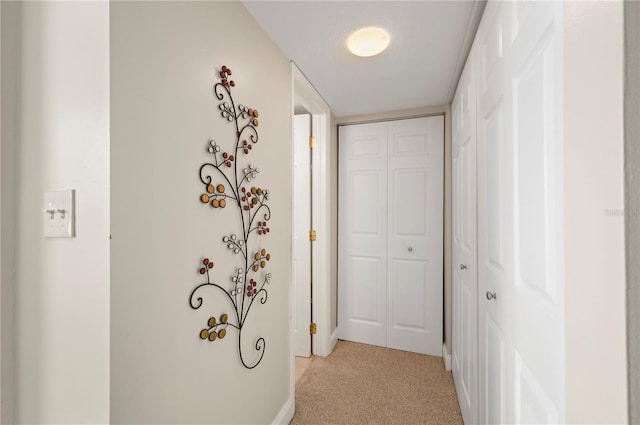 311 Garvin St Unit 301B, Punta Gorda, FL 33950 - hallway featuring light carpet and baseboards