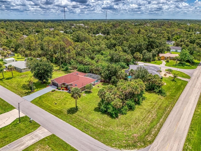 510 Border St, Port Charlotte, FL 33953 - drone / aerial view of a forest