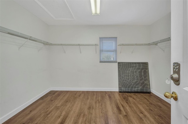 200 Valdiva St, Punta Gorda, FL 33983 - walk in closet featuring wood finished floors