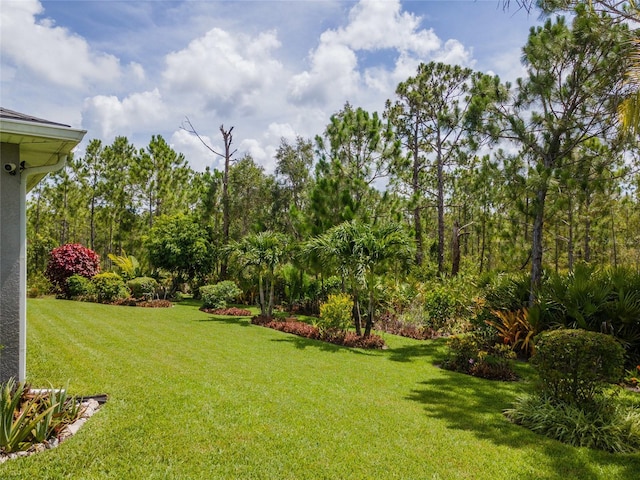 12300 El Prado Dr, Punta Gorda, FL 33955 - photo 40