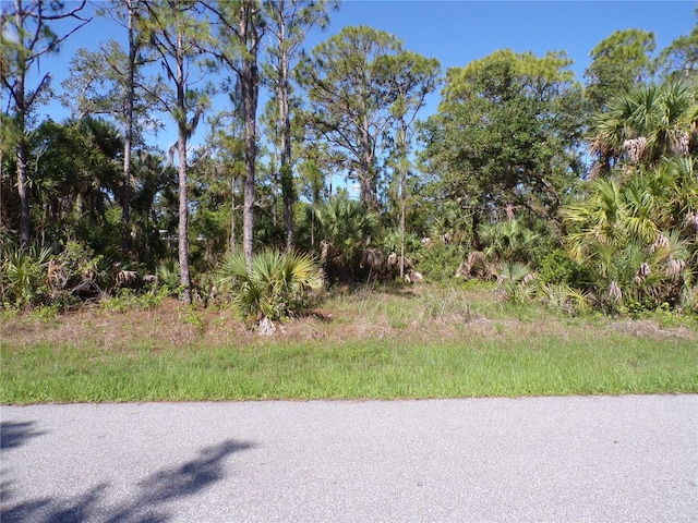 1467 Chaffin Ln, Port Charlotte, FL 33953