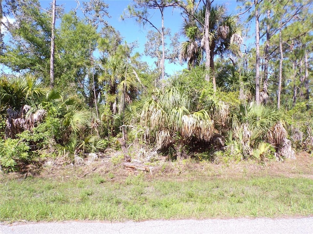 1467 Chaffin Ln, Port Charlotte, FL 33953