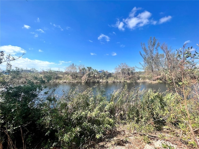 3024 NE 6th Ave, Cape Coral, FL 33909 - photo 1