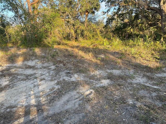 Baynes Rd, North Port, FL 34288 - photo 1