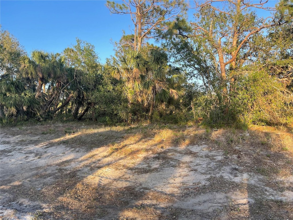 Baynes Rd, North Port, FL 34288 - photo 2