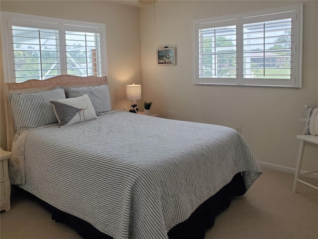 2220 Broad Ranch Dr, Port Charlotte, FL 33948 - carpeted bedroom with multiple windows