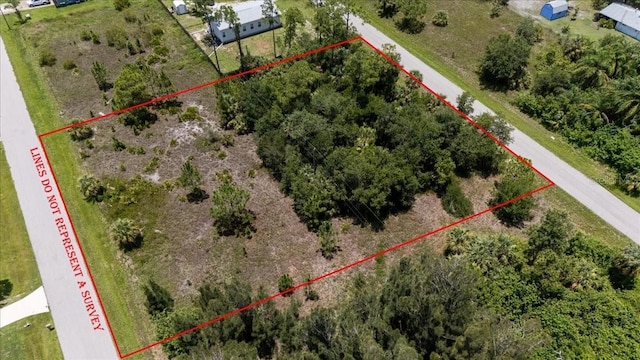 26469 Brooks Rd, Punta Gorda, FL 33955 - photo 29