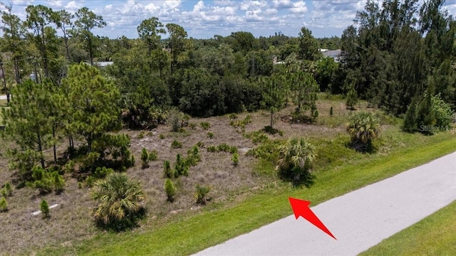 26469 Brooks Rd, Punta Gorda, FL 33955 - photo 30