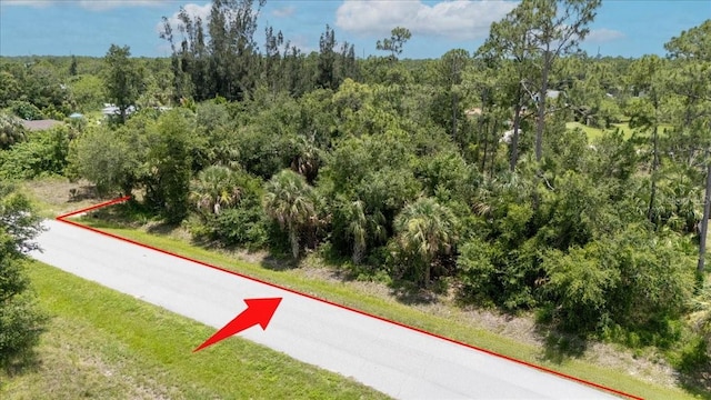 26469 Brooks Rd, Punta Gorda, FL 33955 - photo 31