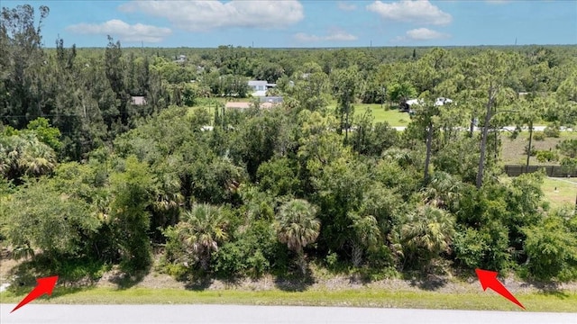 26469 Brooks Rd, Punta Gorda, FL 33955 - photo 32