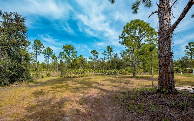 28118 Chinquapin Dr, Punta Gorda, FL 33955