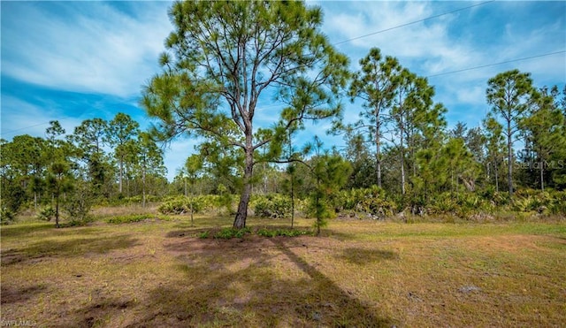 28118 Chinquapin Dr, Punta Gorda, FL 33955
