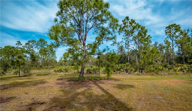 28118 Chinquapin Dr, Punta Gorda, FL 33955 - photo 8