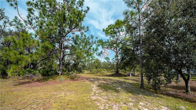 28118 Chinquapin Dr, Punta Gorda, FL 33955