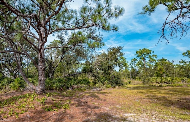 28118 Chinquapin Dr, Punta Gorda, FL 33955