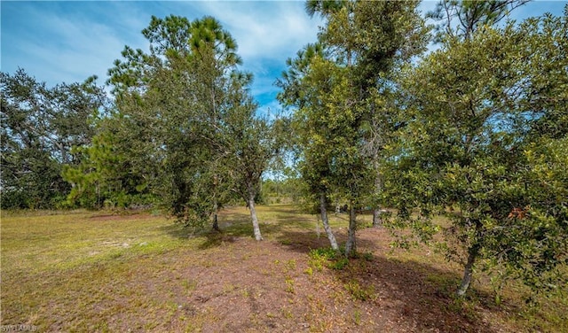 28118 Chinquapin Dr, Punta Gorda, FL 33955