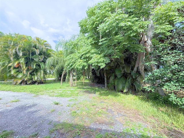 1426 Gary St, Punta Gorda, FL 33982 - view of yard
