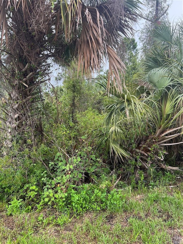Horace Ave, North Port, FL 34286