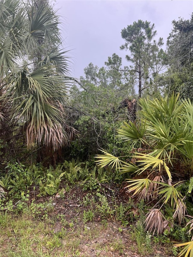 Horace Ave, North Port, FL 34286