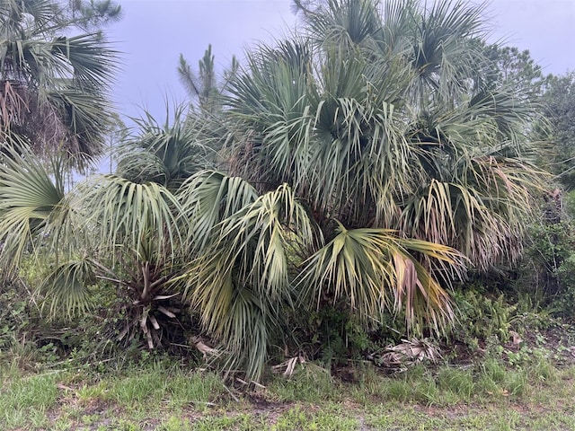 Horace Ave, North Port, FL 34286