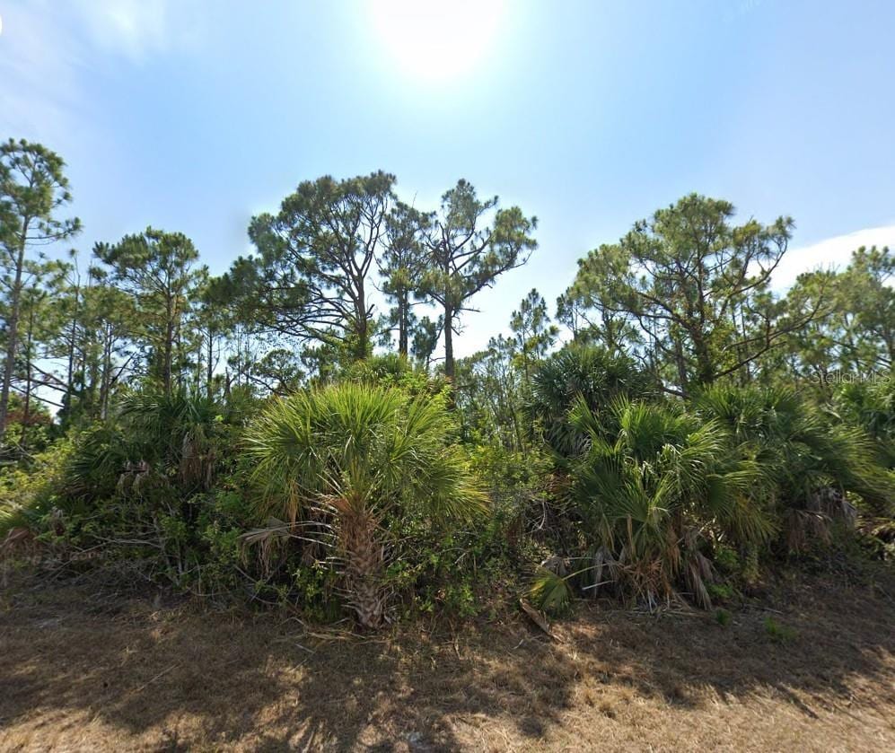 9565 Little Rock St, Port Charlotte, FL 33981 - photo 3