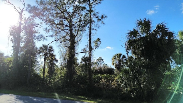 LOT25 Emporia Ter, North Port, FL 34286 - photo 3