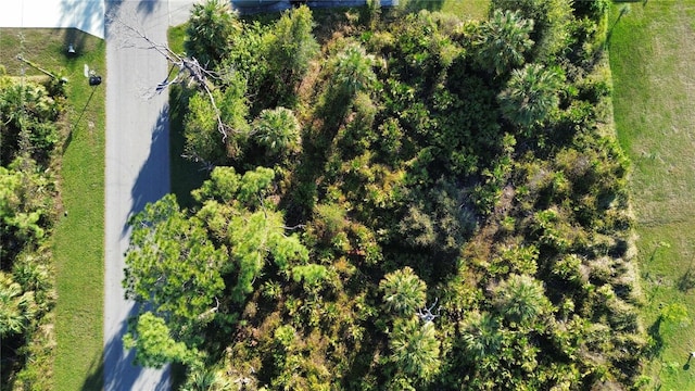 LOT25 Emporia Ter, North Port, FL 34286 - photo 6