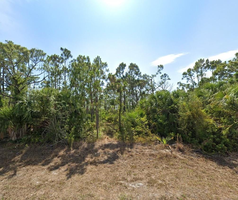 9557 Little Rock St, Port Charlotte, FL 33981 - photo 3