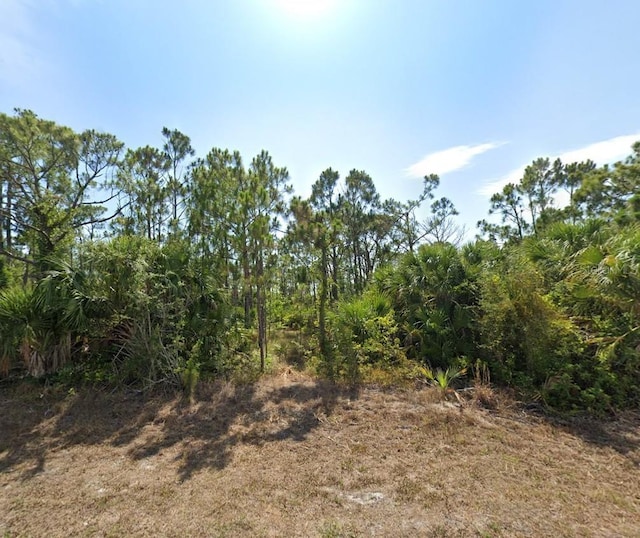 9557 Little Rock St, Port Charlotte, FL 33981 - photo 3