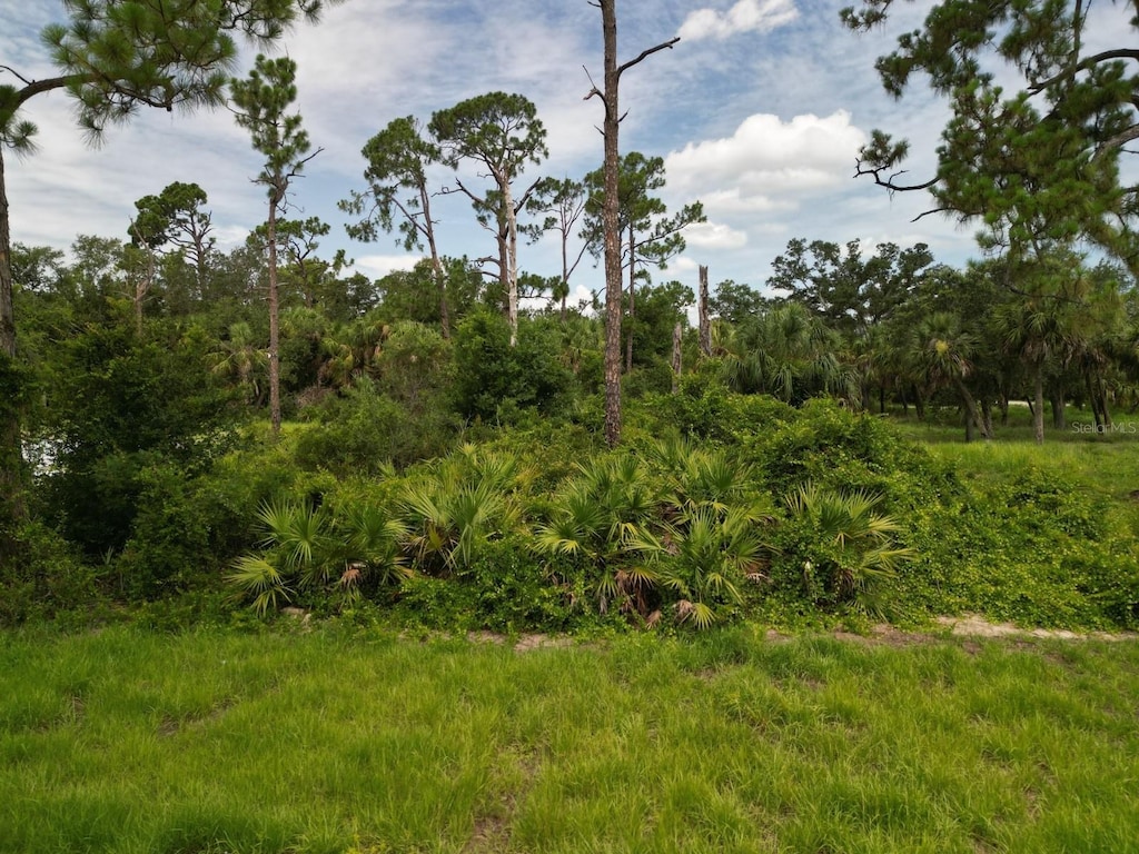 63 Sherbourne St, Port Charlotte, FL 33954 - photo 1