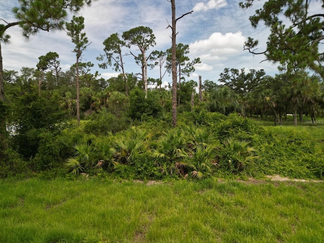 63 Sherbourne St, Port Charlotte, FL 33954