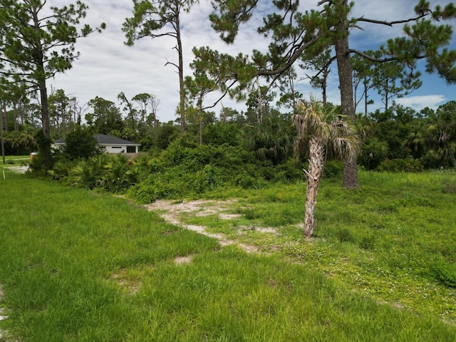 63 Sherbourne St, Port Charlotte, FL 33954