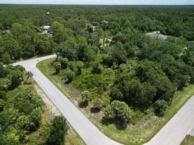 18358 Buttercup Ave, Port Charlotte, FL 33954 - photo 1