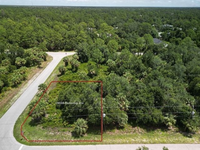 18358 Buttercup Ave, Port Charlotte, FL 33954 - photo 2