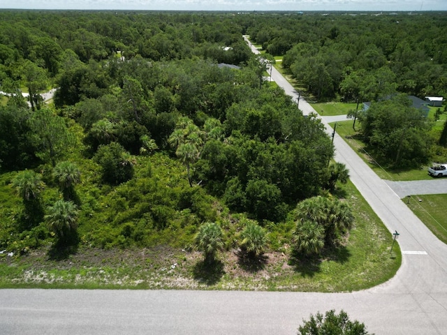 18358 Buttercup Ave, Port Charlotte, FL 33954 - photo 4