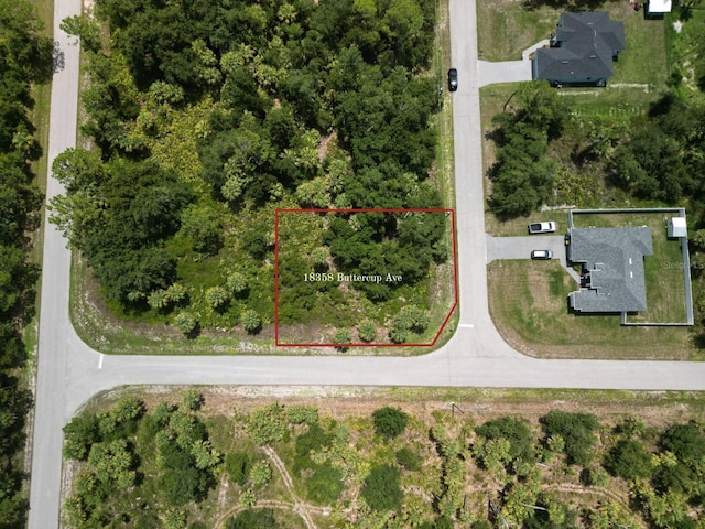 18358 Buttercup Ave, Port Charlotte, FL 33954 - photo 5